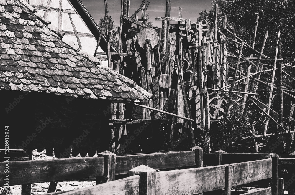 Fototapeta premium woodlands_03001