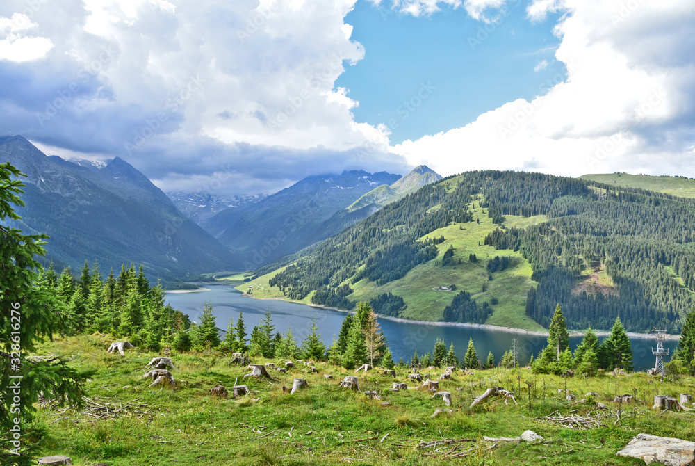 The View on the way in the summer with green trees and mountain at Tirol