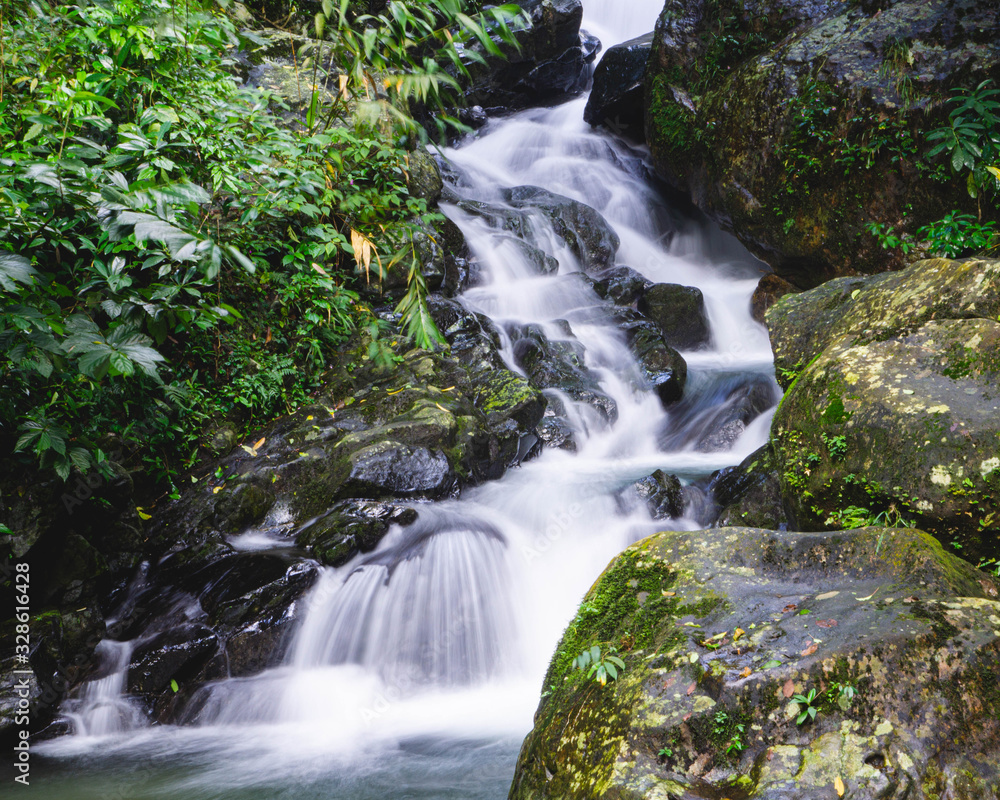 Fototapeta premium waterfall in forest