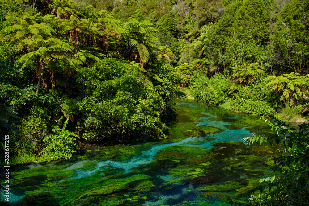 Blue Spring, the river with the purest water in New Zealand, Te Waihou Walkway, Hamilton, Waikato Blue Spring, the river with the purest water in New Zealand, Te Waihou Walkway, Hamilton, Waikato