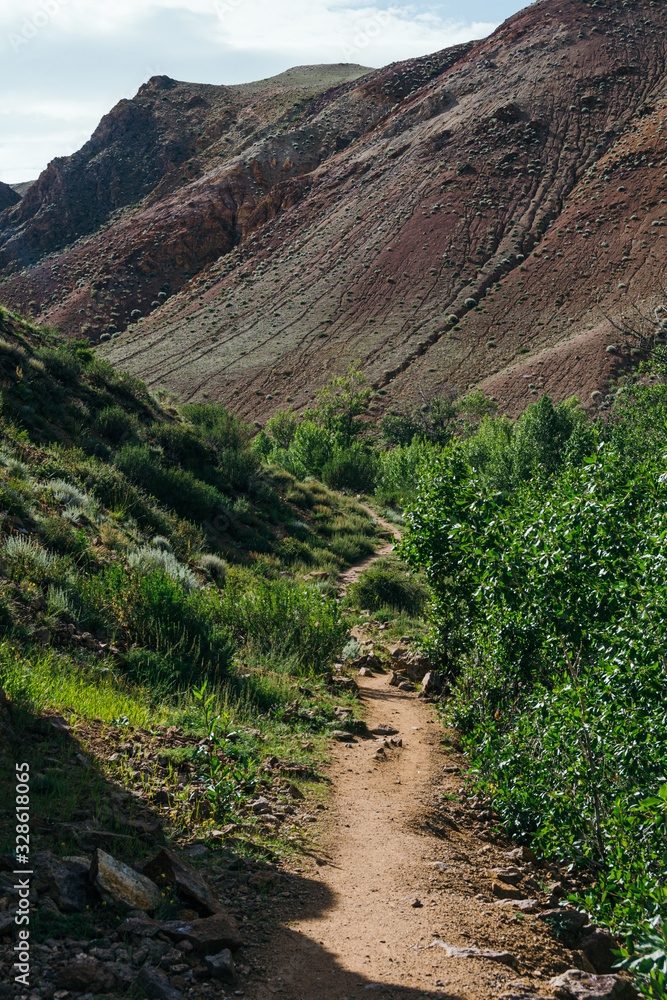Fototapeta premium lonely stone path among trees and rocks, hiking in mountains, traveling through valley