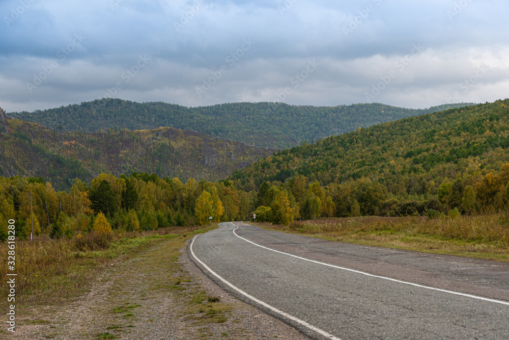 road in autumn forest with yellow leaves, asphalt pavement with markings, mood of nostalgia in journey road in autumn forest with yellow leaves, asphalt pavement with markings, mood of nostalgia in journey