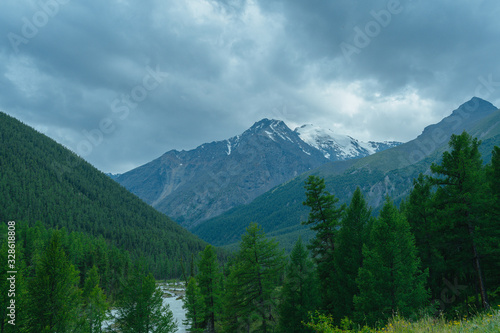 valley with pine forest and rocky peaks on horizon  mountain tourism  outdoor relaxation