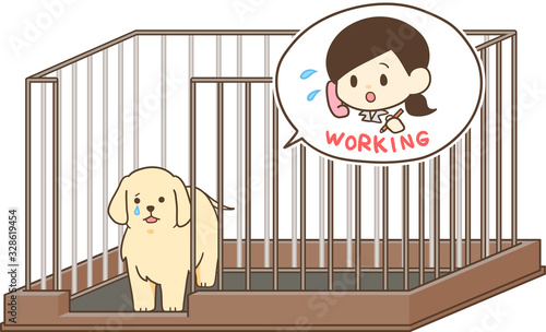 ゴールデンレトリバーの子犬（サークルで留守番2）