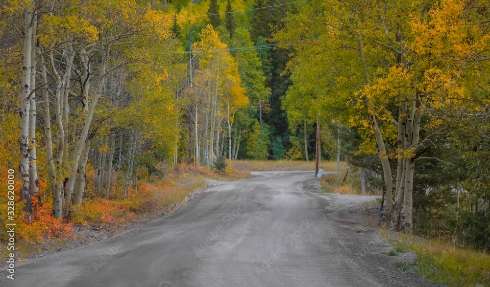 rural road in south west Colorado during early autumn