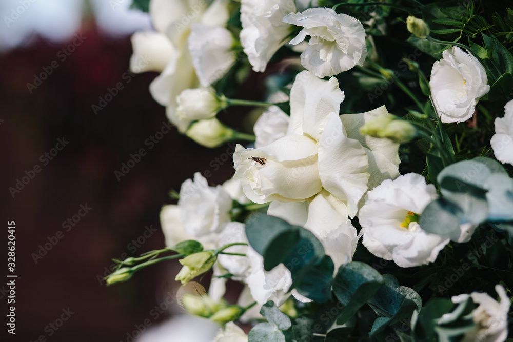 Composition of fresh flowers for an outdoor wedding ceremony. Wasp on a white flower. Composition of fresh flowers for an outdoor wedding ceremony. Wasp on a white flower.