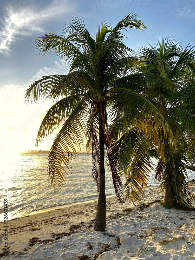 Obraz premium Landscape. Sunset view from the coastline. Beautiful natural background. Side view on a palm tree by the ocean. Vertical, free space, nobody. Concept of natural beauty.