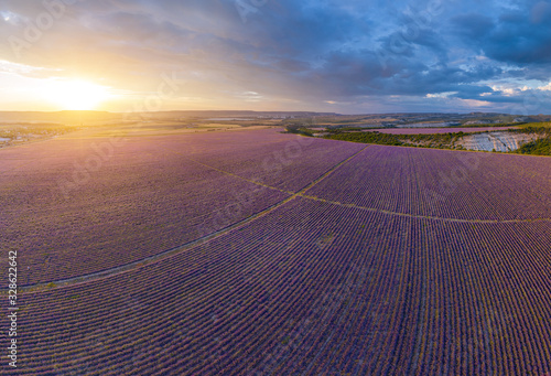 Aerial meadow dig panorama of lavender on sunset.