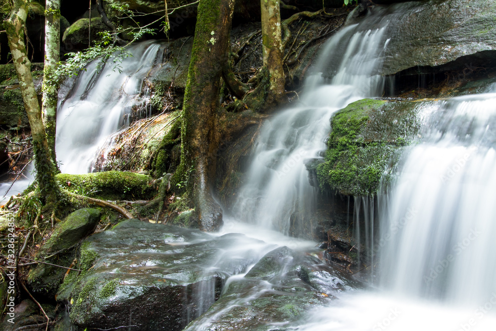 waterfall in forest waterfall in forest