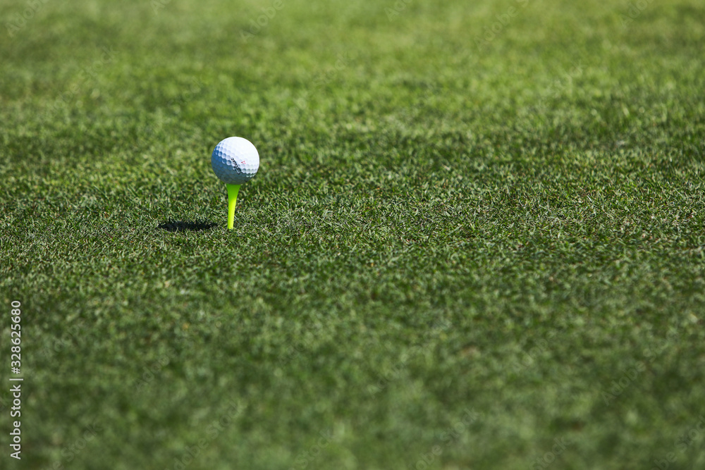 Golf club and ball in grass at the Golf course. White Golf ball on Green field golf course in morning time with sun light