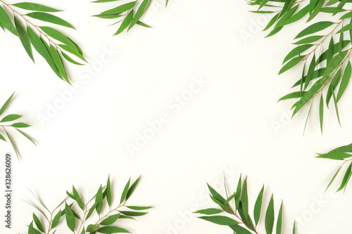 green eucalyptus leaves, branches frame isolated on a white background. flat lay, top view. 