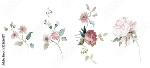 Flowers watercolor illustration.Manual composition.Big Set watercolor elements. © 罗密 波