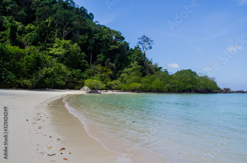Fototapeta Naklejka Na Ścianę i Meble -  Tropical mangrove forest along coastal in Surin Island, Phangnga Bay, Thailand