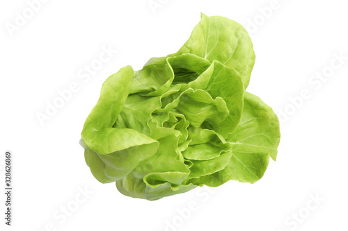 Single Fresh Organic Green Butter head Lettuce vegetable or Salad vegetable  hight  vitamin,nutrition isolated on white back ground close-up