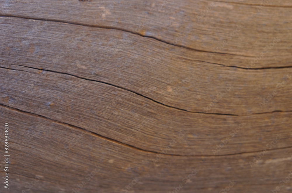 Naklejka premium wood bark texture closeup for natural brown abstract bacgkround