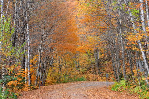 Scenic road through Parc de la Jacques-cartier national park in Quebec