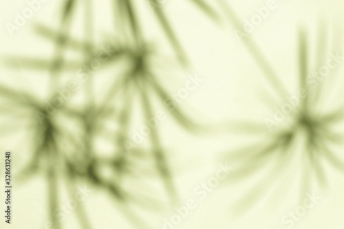 natural leaves shadow background . Abstract tree branch falling on light wall texture for backdrop and wallpaper.Floral card.