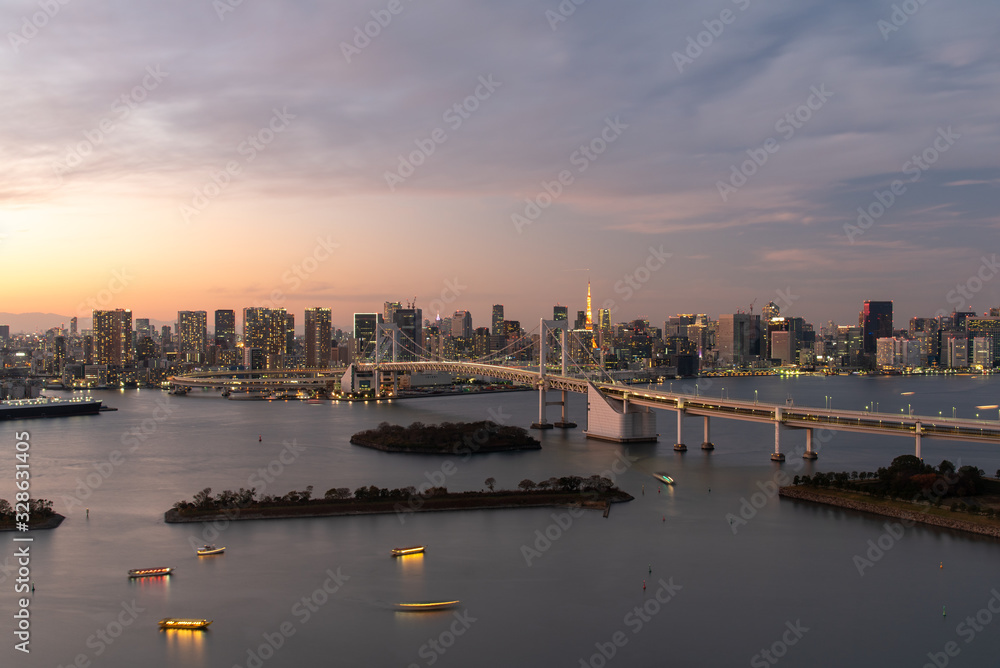 Fototapeta premium Tokyo skyline at dusk