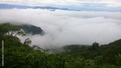 fog in the mountains