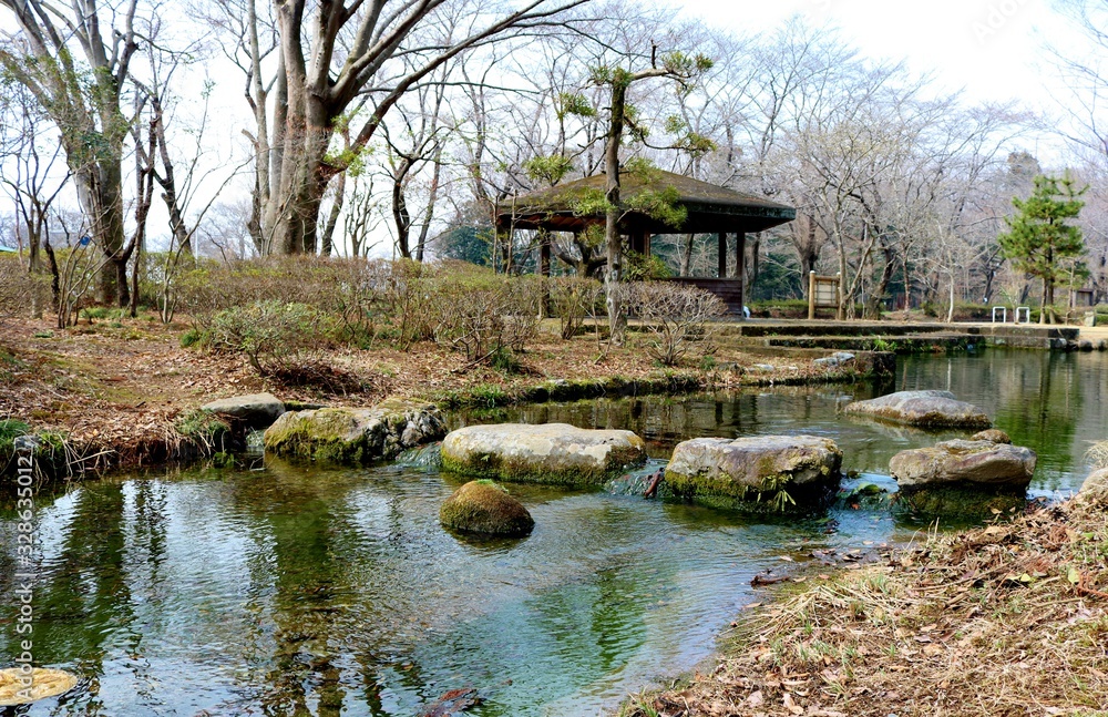 冬 池 風景 栃木県 真岡 井頭公園 冬 池 風景 栃木県 真岡 井頭公園