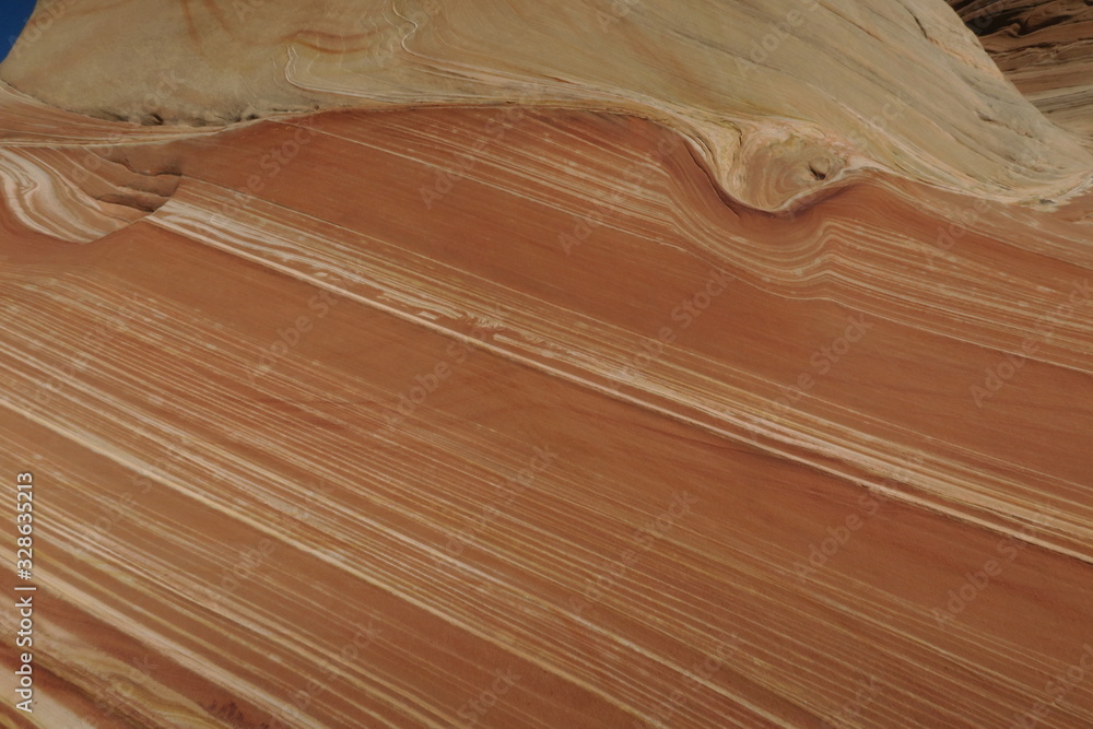 Obraz premium The Wave Rock formation, Arizona