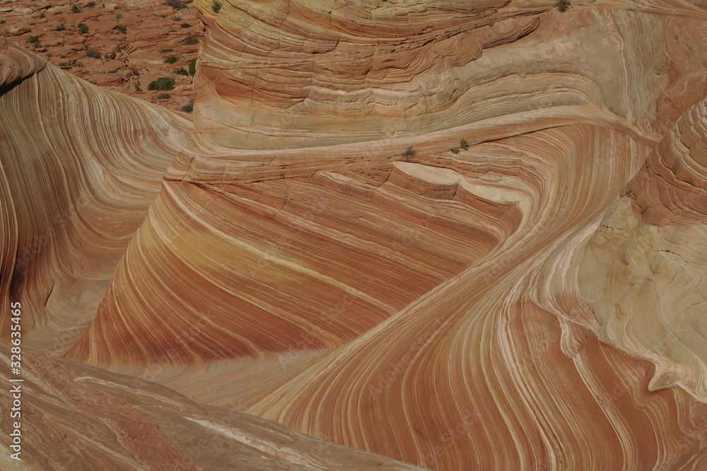 Obraz premium The Wave Rock formation, Arizona