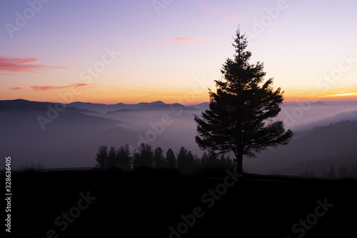Tree and sunset over the mountains in the Aiako Harriak Natural Park, Euskadi