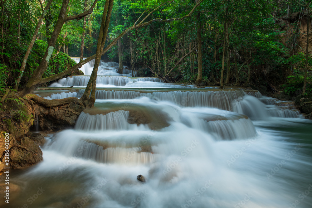 Obraz premium waterfall in the forest