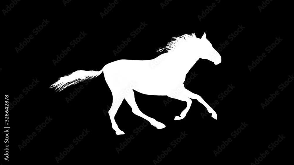 white horse running silhouette seamless loop new quality unique animation dynamic joyful 4k video stock footage white horse running silhouette seamless loop new quality unique animation dynamic joyful 4k video stock footage