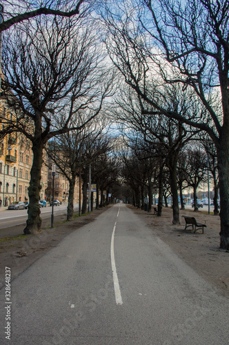 alley in the city park © Alena Petrachkova