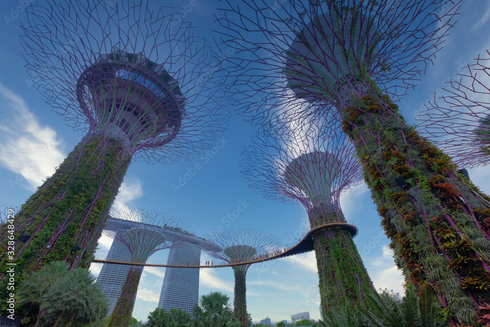 view of The Supertree Grove at Gardens by the Bay. 