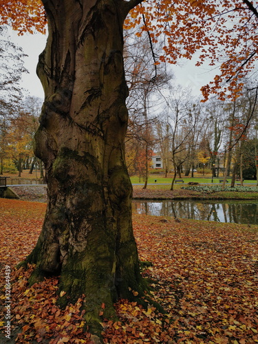 Parque en otoño