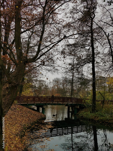 Parque en otoño