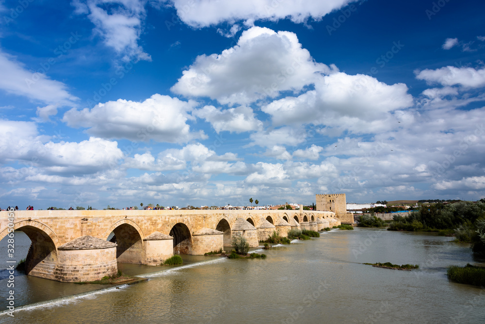 a guadalquivir view of cordoba, view of the roman bridge over the guadalquivir in cordoba. andalusia, spain