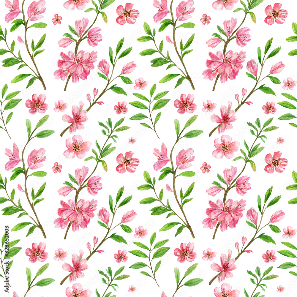 Watercolor Seamless Pattern, Cherry Blossoms Spring Branches with Leaves Isolated on White Background.  Hand Drawn Illustration 