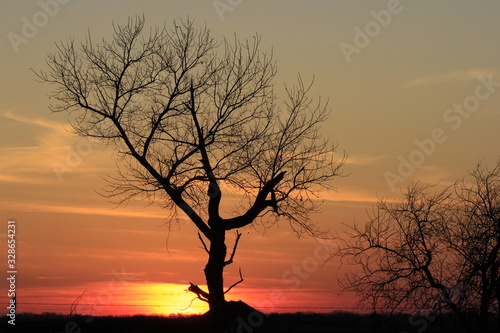 Kansas colorful Sunset with clouds and a tree silhouette out in the country. © Stockphotoman