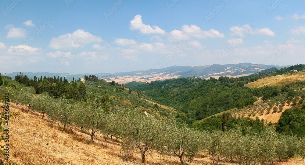 Picturesque view of Tuscan valley with trees, olive gardens and villa on top of a hill. Italy.