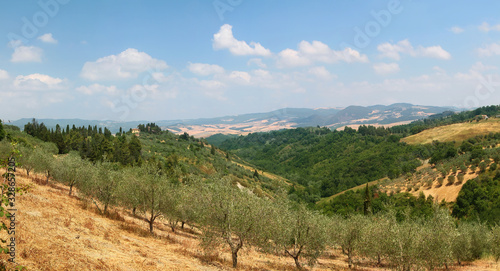Picturesque view of Tuscan valley with trees  olive gardens and villa on top of a hill. Italy.