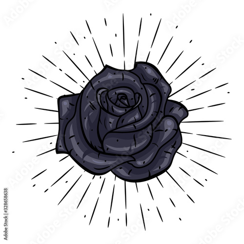 Rose. Vector illustration with a rose and divergent rays on white background. Used for poster, banner, web, t-shirt print, bag print, badges, flyer, logo design and more.