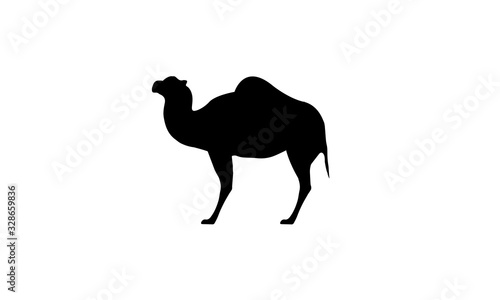 Camel desert animal symbol wildlife icon zoo