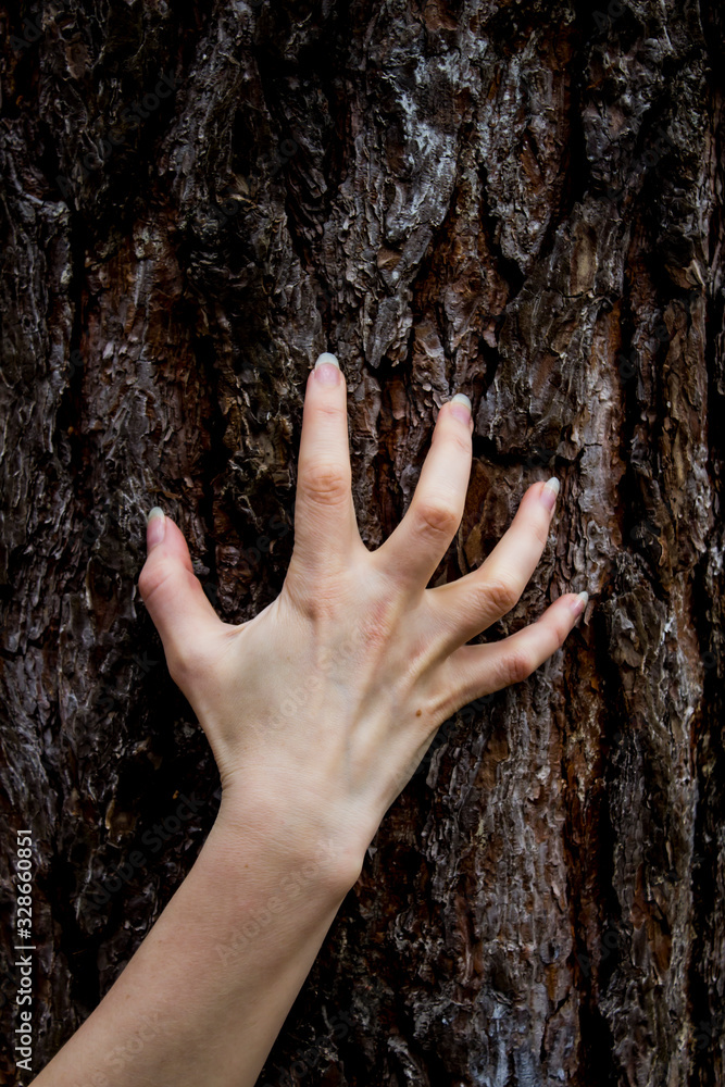 The hand move on the tree. Can be used in the scary design in horror