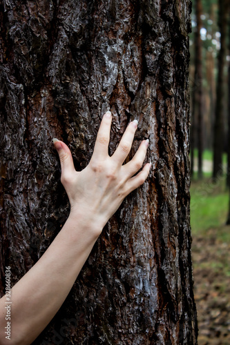 The hand move on the tree. Can be used in the scary design in horror