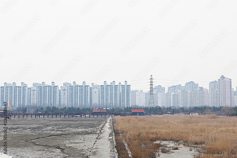 Fototapeta premium 소래습지생태공원입니다