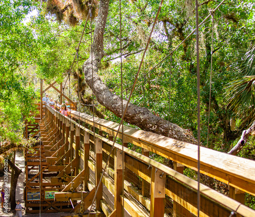The canopy walk at Florida's Myakka River State Park. The walkway is suspended 25 feet above the ground and extends 100 feet through the hammock canopy