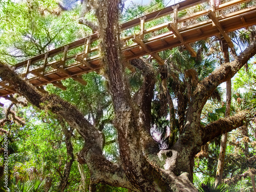 The canopy walk at Florida's Myakka River State Park. The walkway is suspended 25 feet above the ground and extends 100 feet through the hammock canopy