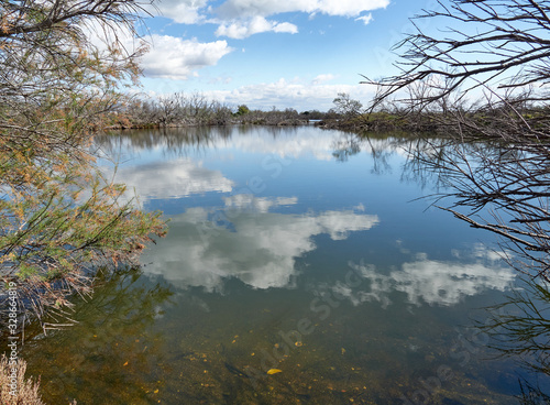 protected area mouth of the river Guadalhorce, malaga