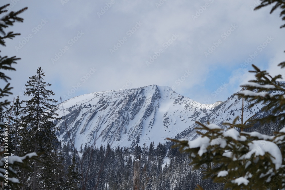 Obraz premium Blick auf den Hochmiesing nahe Soingraben
