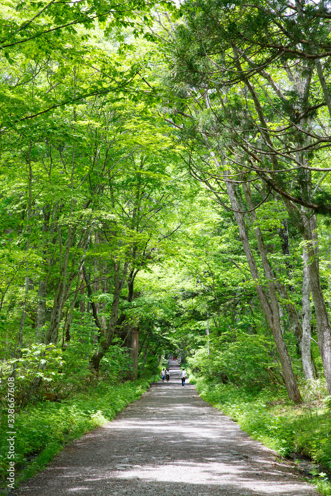 Fototapeta premium Togakushi