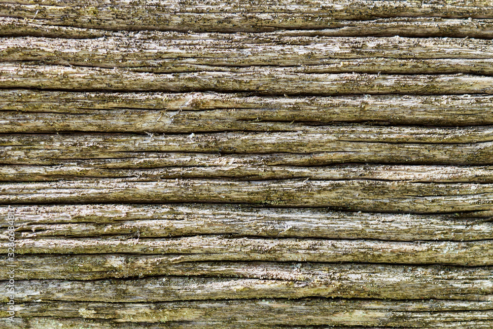Fototapeta premium Background with beautiful texture of a coniferous tree trunk with a pronounced textured surface and rich colors. Deep surface of the tree trunk with an interesting pattern.