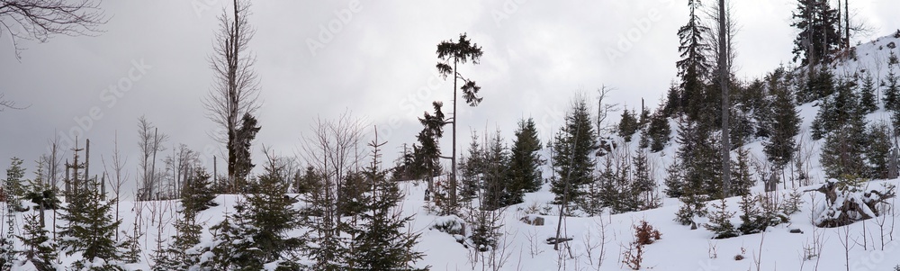 Panorama einer Wilden bayrischen Landschaft im Winter Panorama einer Wilden bayrischen Landschaft im Winter